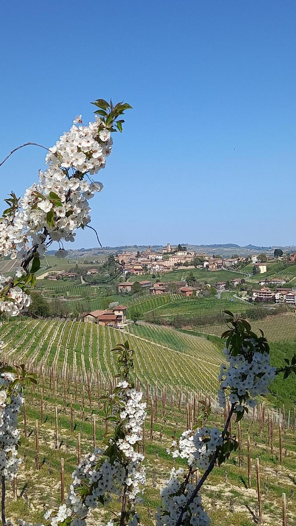 I Quattro Grappoli Bed & Breakfast Neive Exterior photo