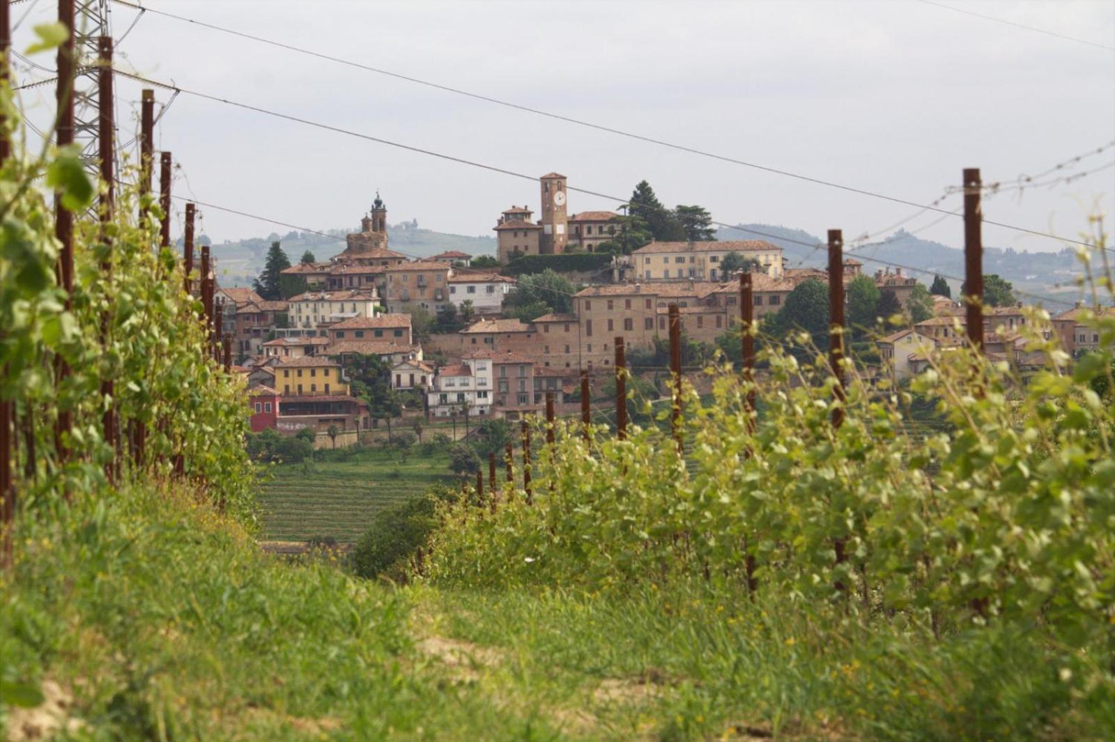 I Quattro Grappoli Bed & Breakfast Neive Exterior photo